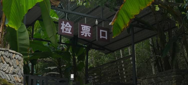 仙辰岛度假营地图片