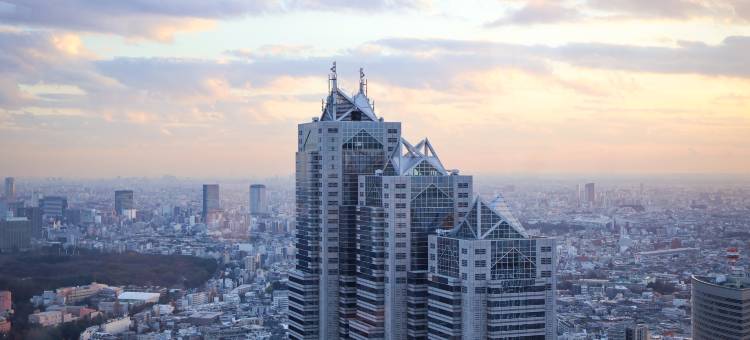 东京柏悦大酒店(Park Hyatt Tokyo)图片