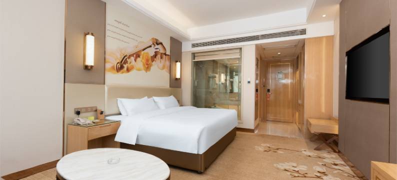 维也纳国际酒店(武汉杨泗港长江大桥店)图片