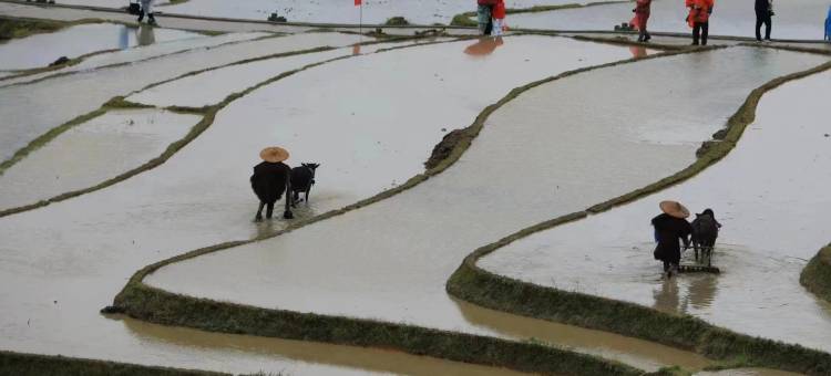 崇义观山悦客舍图片
