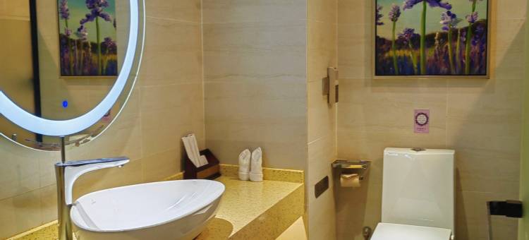 麗枫酒店(东莞虎门万达广场店)图片