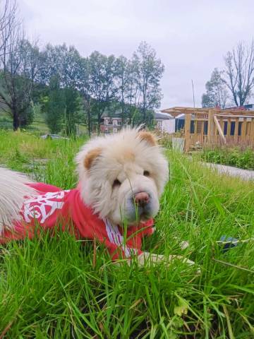 AETHER·玖灵山居(康定市新都桥店)图片