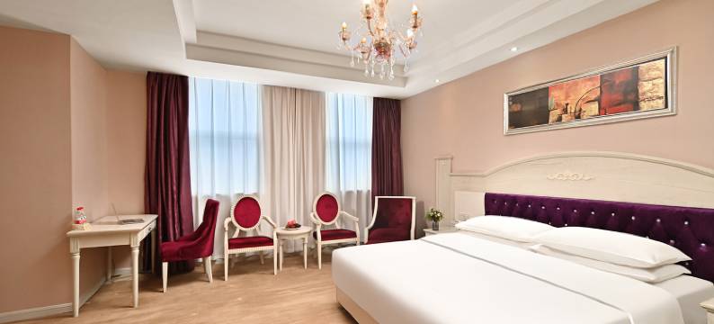 欢喜维纳国际酒店(贺州学院店)图片