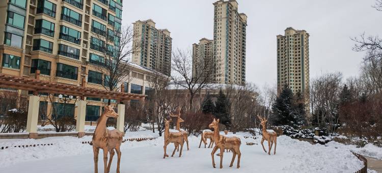 朴宿(虎林园冰雪大世界店)图片