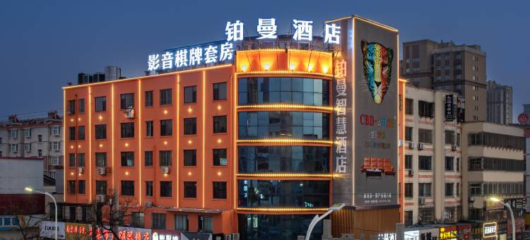 新泰铂曼酒店(不夜城店)图片