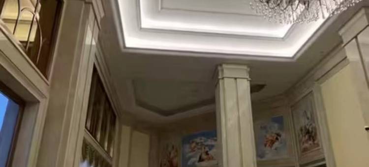 阳江维也纳国际酒店图片