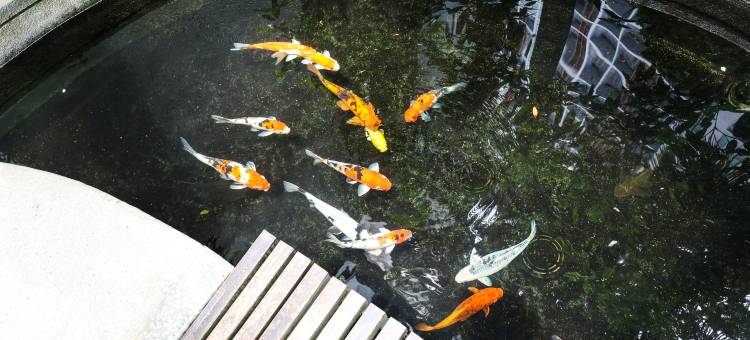 The Mews 吉隆坡豪华公寓近双子塔/柏威年/中文服務 By VigourGT(The Mews @ KLCC by VigourGT)图片