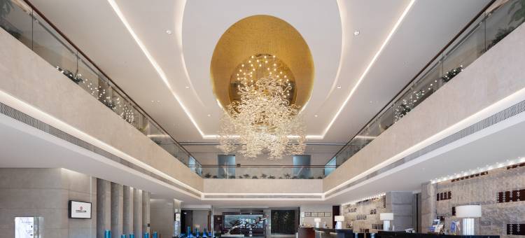 长沙鑫远屿上大酒店(省政府德思勤店)图片