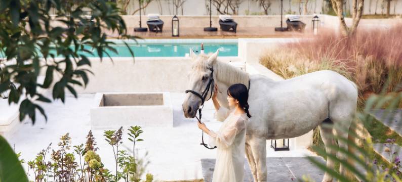 梦也·莫干山弥宫花园城堡民宿图片