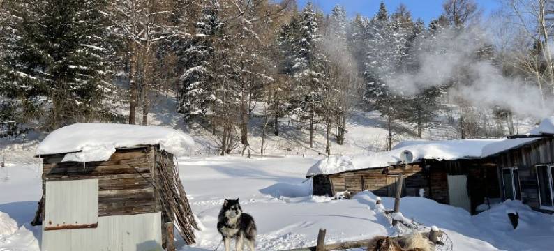 雪乡老东北客栈(中国雪乡景区内店)图片