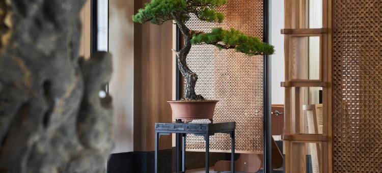 绍兴璞祺艺境酒店图片