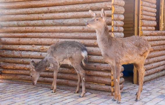 安顺黄果树开元名都度假酒店图片