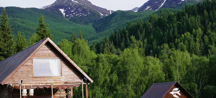 塔尔民宿(白哈巴店)图片