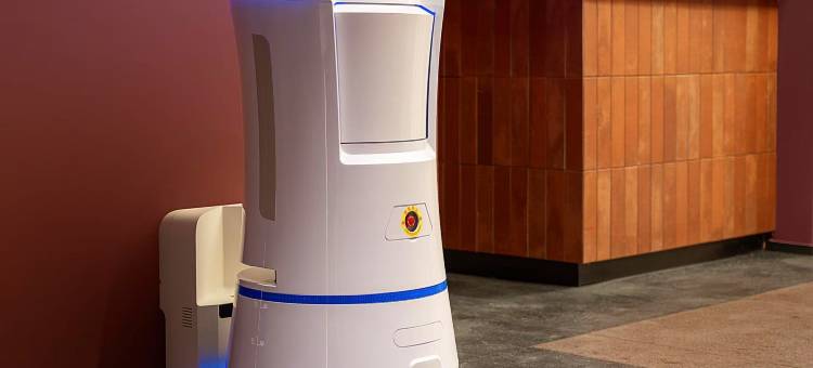 云左星光酒店(珠峰小镇店)图片