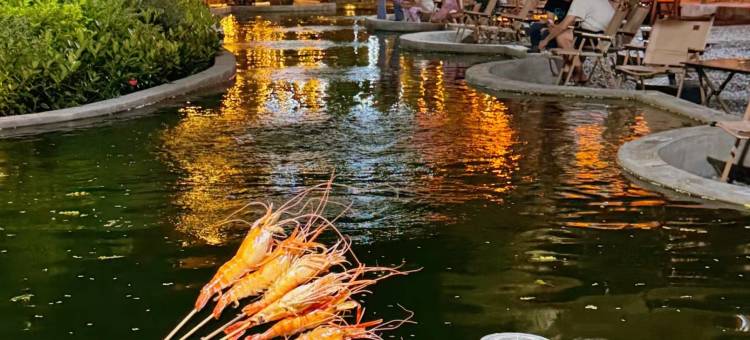 江海碧桂园凤凰酒店(江门东站万达广场店)图片