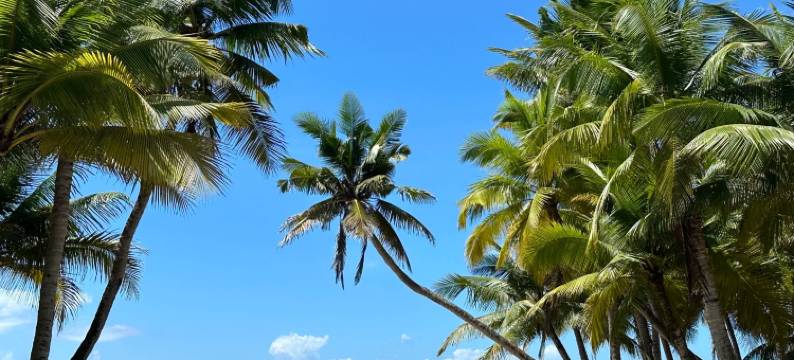文昌海屿海景酒店公寓(高隆湾旅游度假区店)图片