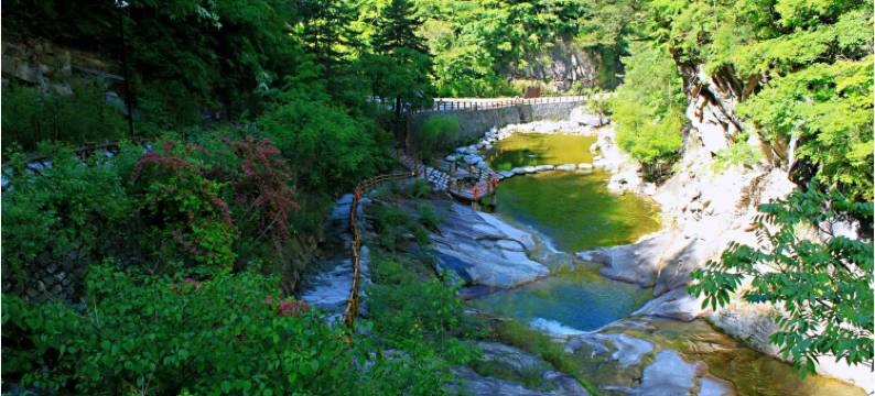 佛坪熊猫森林酒店图片