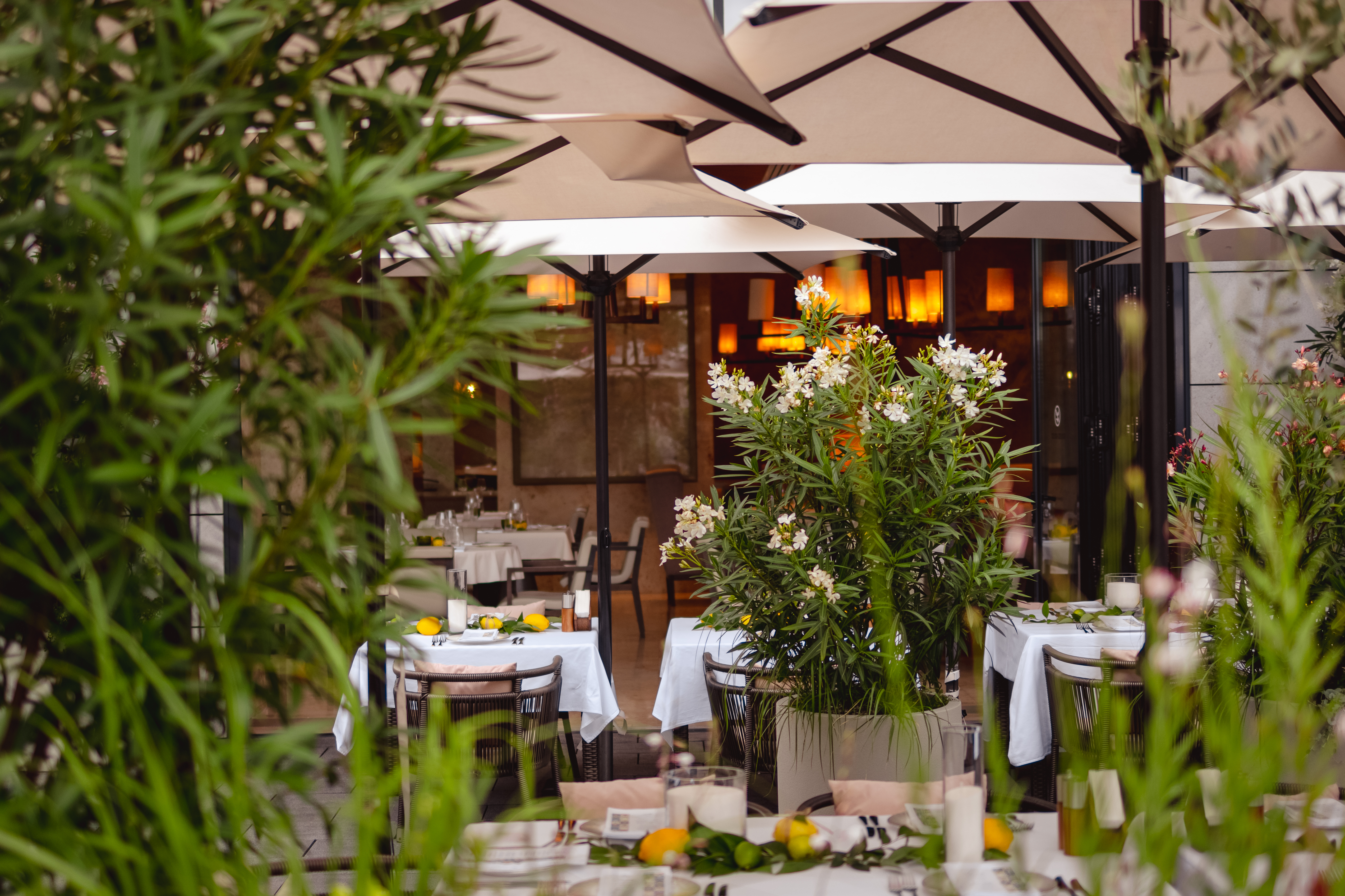 Hotel Grand Karat Sochi Over view