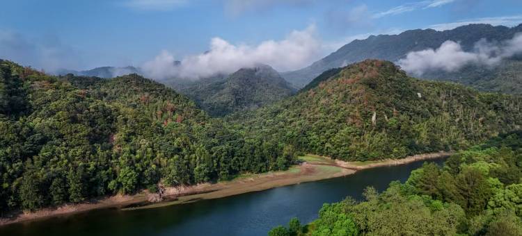 靖安水岸边图片