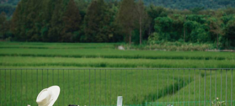 莫干山瀛轩温泉度假民宿图片