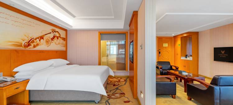 维也纳酒店(潮州潮安中心店)图片