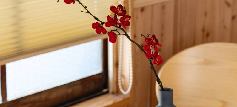 Mameyama15(Mameyama15)图片