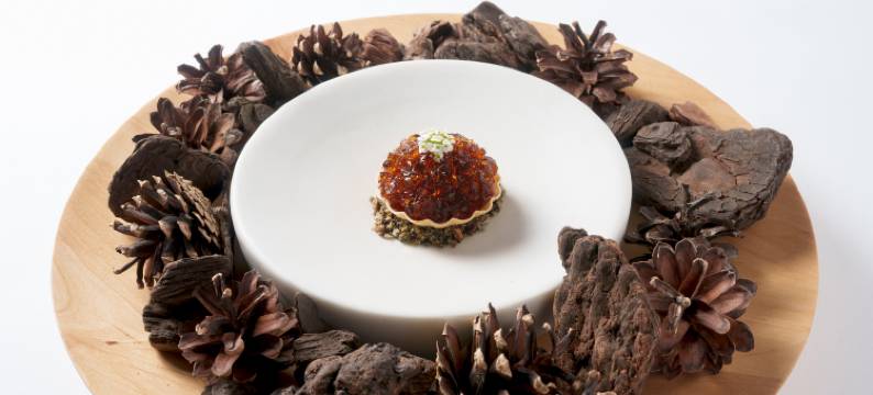 尼德姆酒店(Hotel Nidom)图片