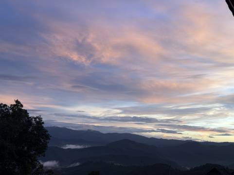 雲山濮茶|Tea火塘烤茶·云海吟游美宿(芒景村景迈山古茶林景区店)图片