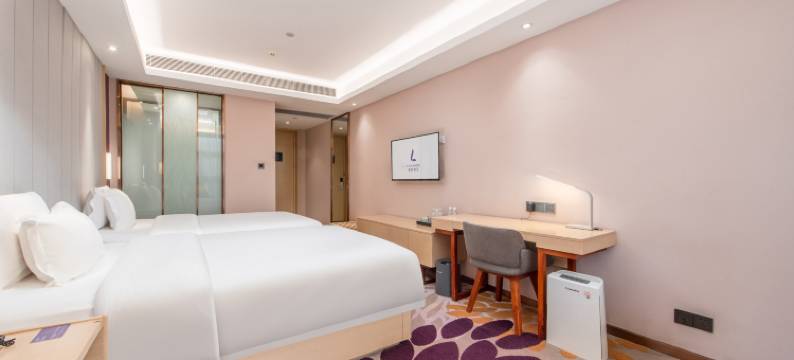 麗枫酒店(广州空港大道龙归金铂广场店)图片