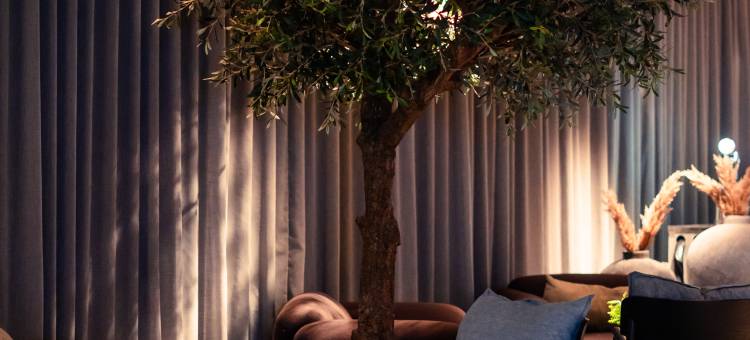 马德里机场Zleep酒店(Zleep Hotel Madrid Airport)图片