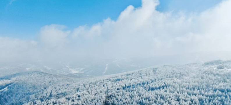 张家口崇礼曼松林民宿图片