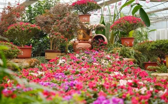 湘潭盘龙大观园度假酒店图片