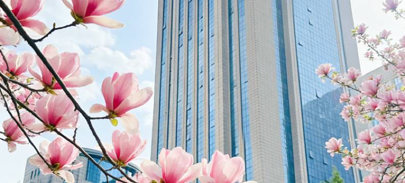 郑州美盛喜来登大酒店图片