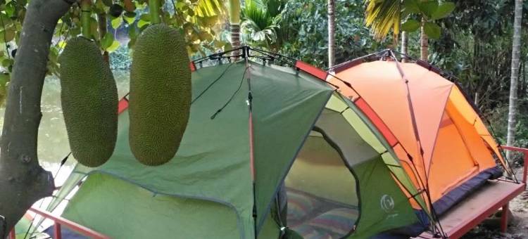 保亭悠然帐篷营地图片