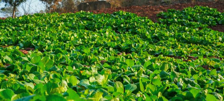 慈利安聚客栈图片