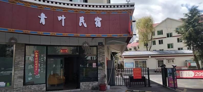 林芝青叶民宿(牦牛广场店)图片