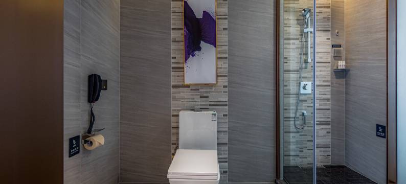 麗枫酒店(长沙麓谷高新区店)图片