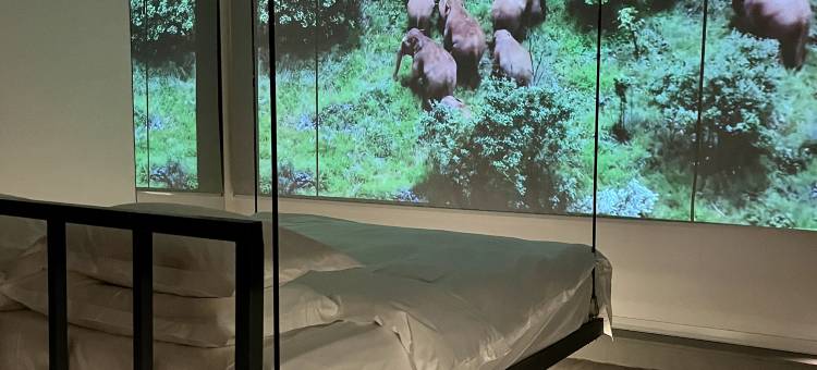 ROLLZ野路子酒店图片