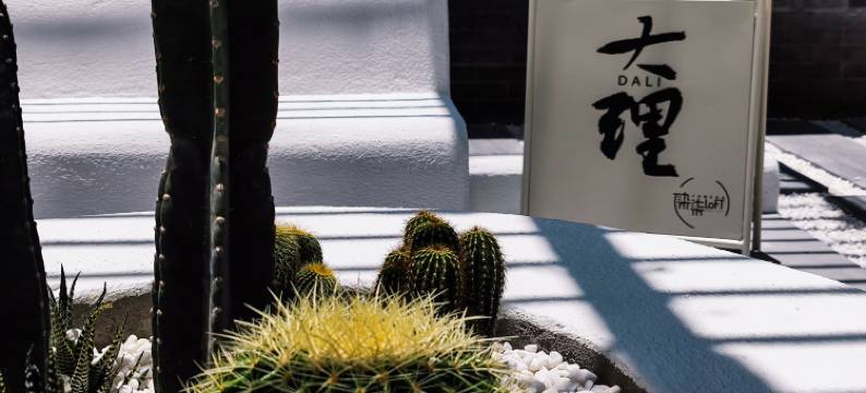 大理染柒loft北欧概念客栈图片