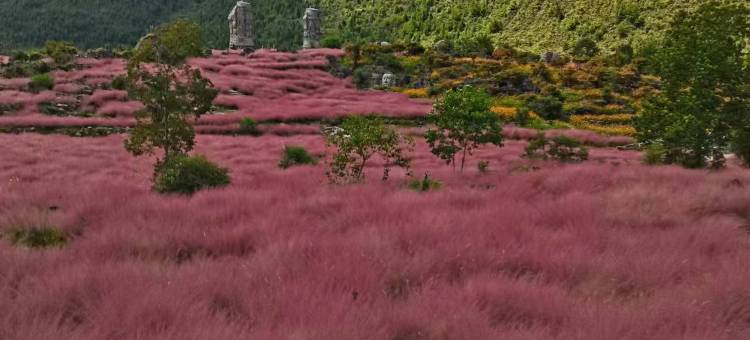 蔓悦酒店(重庆酉阳桃花源店)图片