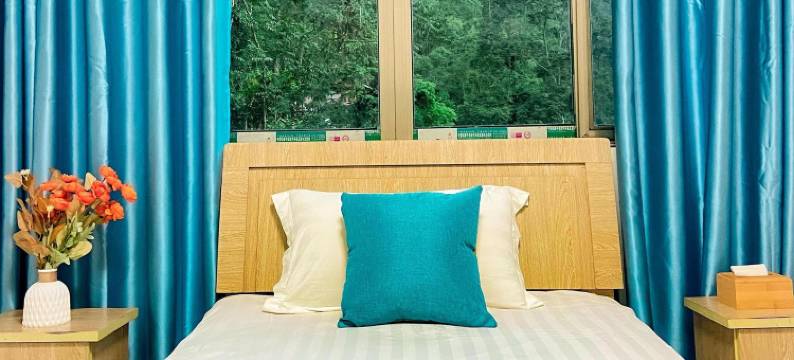 老支书苗家民宿图片