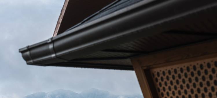 杜利凯尔都喜天丽喜马拉雅度假村(Dusit Thani Himalayan Resort)图片