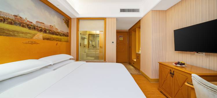 维也纳酒店(深圳北站壹城中心店)图片