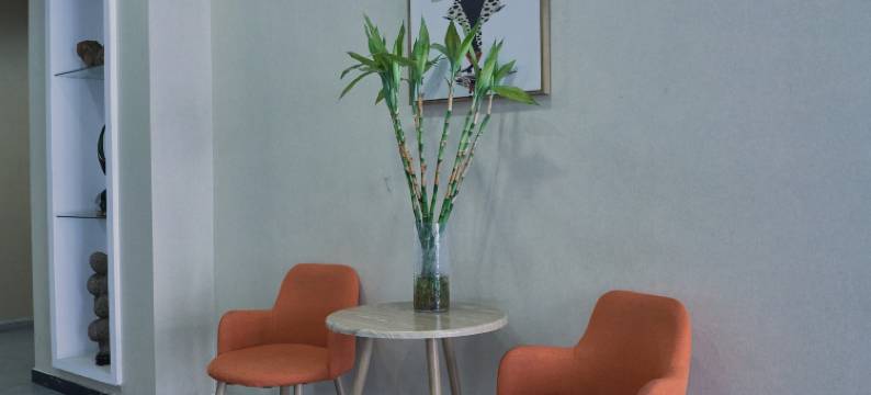 包头唯宜宾馆图片