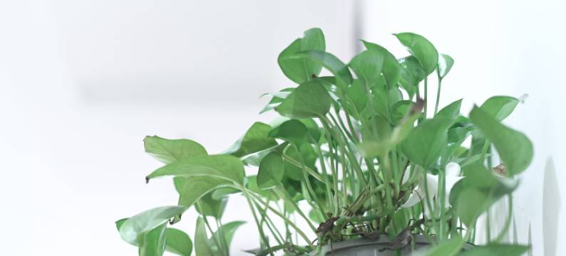 美汇轩酒店图片