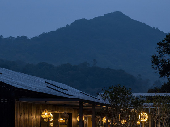 从林里野奢民宿