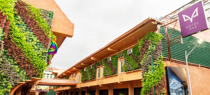 艾娃库内塔酒店(Hotel Ava Cuneta)图片