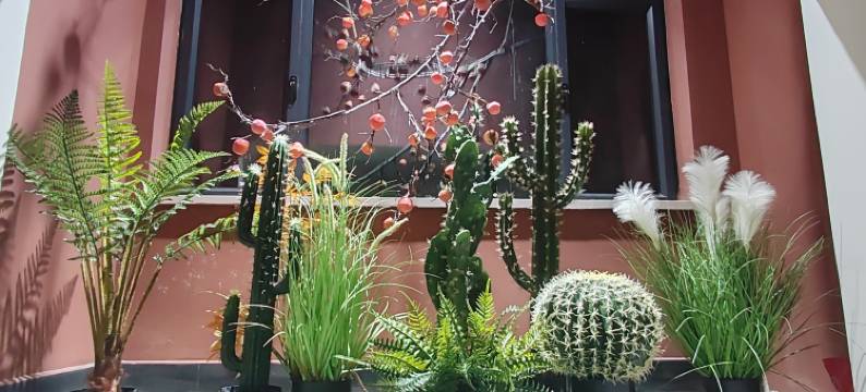 乌鲁木齐云外天民宿图片