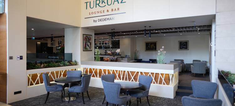 伊斯坦布尔德德曼酒店(Dedeman Istanbul)图片