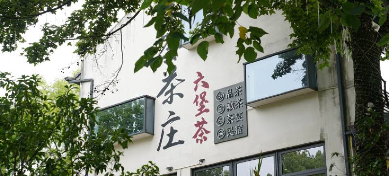 茶荟茶庄六堡茶图片